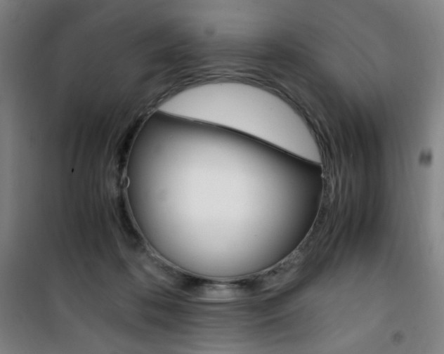 X0000101710316200807101414