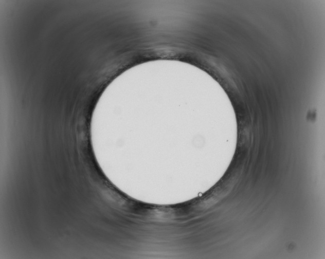 X0000101710317200807101414