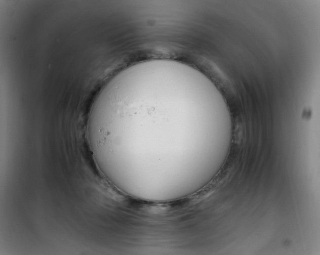 X0000101710318200807101414