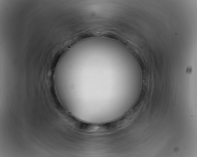X0000101710319200807101414