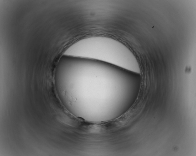 X0000101710320200807101414