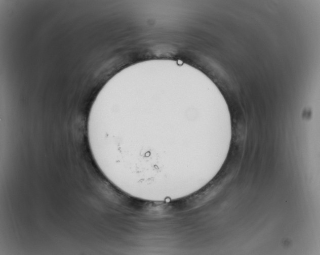 X0000101710321200807101414