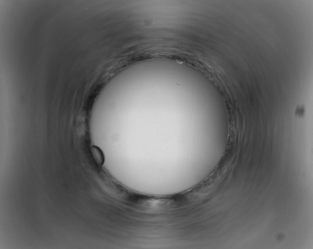 X0000101710323200807101414