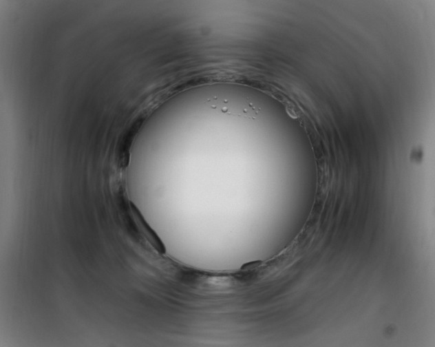 X0000101710324200807101414