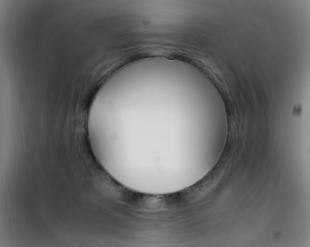 X0000101710325200807101414