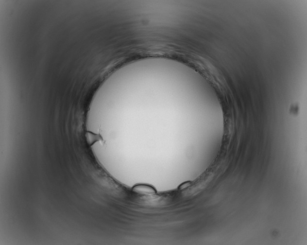 X0000101710326200807101414