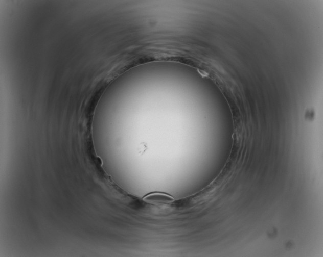 X0000101710327200807101414