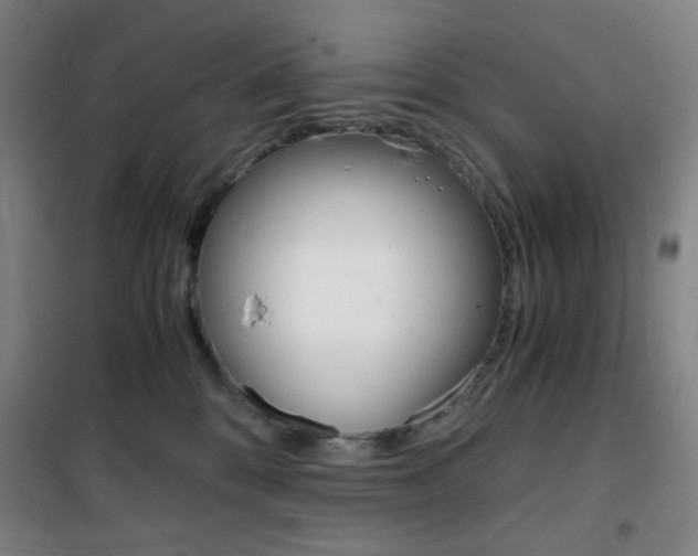 X0000101710328200807101414