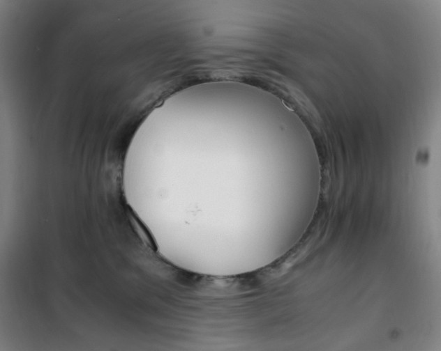 X0000101710329200807101414