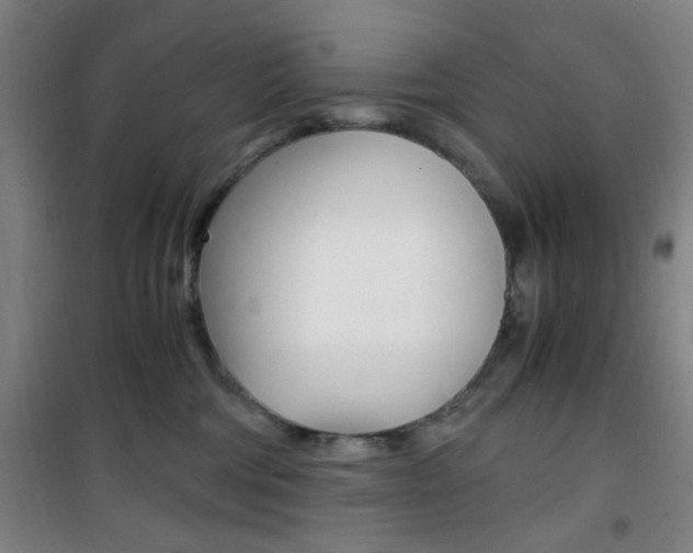 X0000101710330200807101414