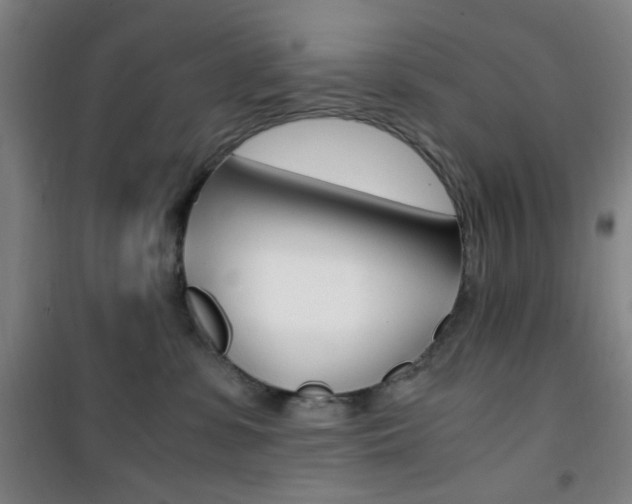 X0000101710331200807101414