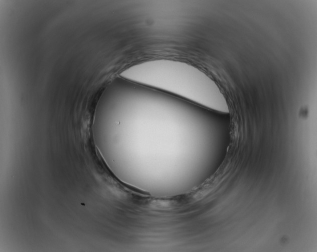 X0000101710332200807101414