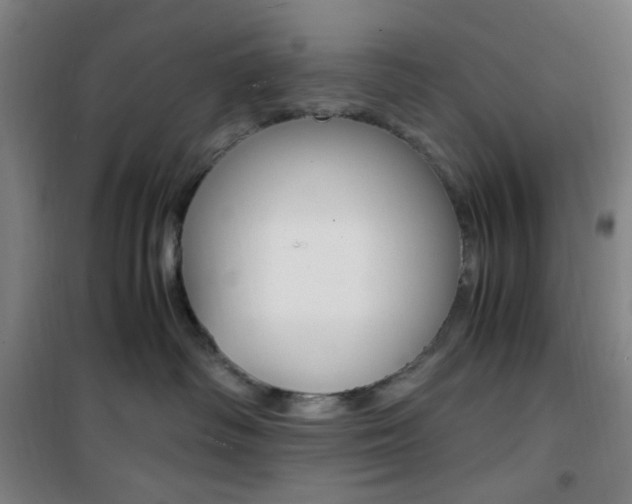 X0000101710334200807101414