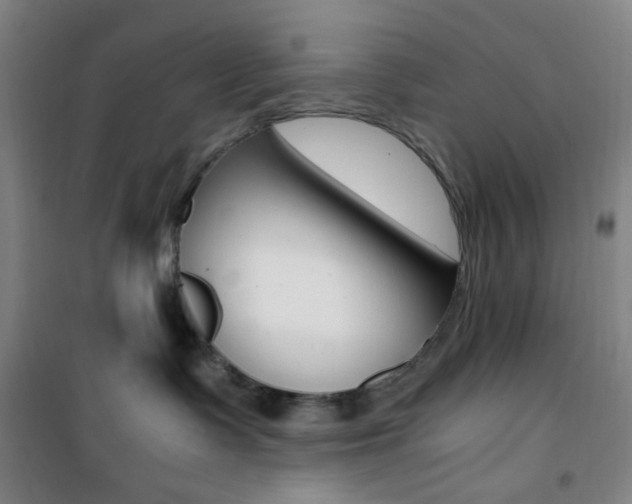 X0000101710335200807101414