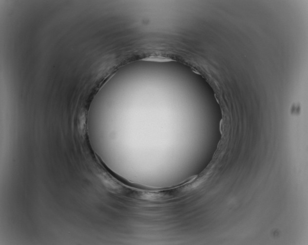 X0000101710336200807101414