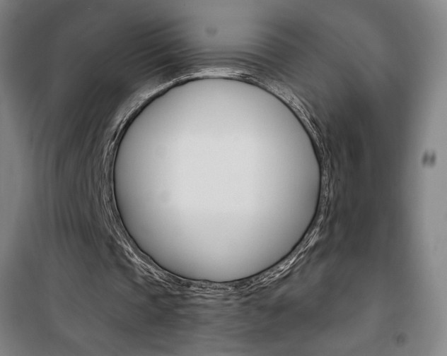 X0000101710337200807101413