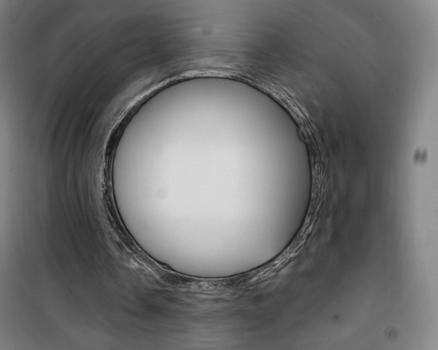 X0000101710338200807101413