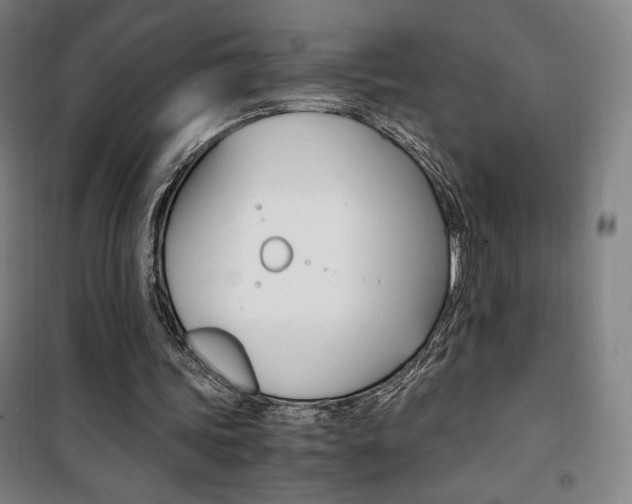 X0000101710339200807101413
