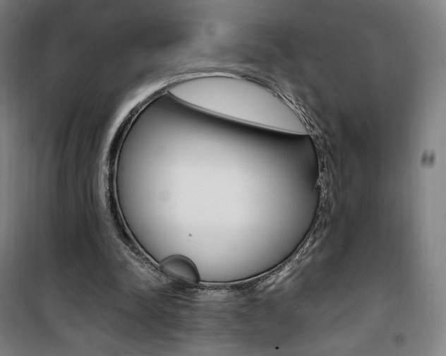 X0000101710342200807101413