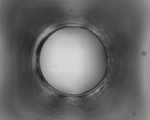 X0000101710343200807101413