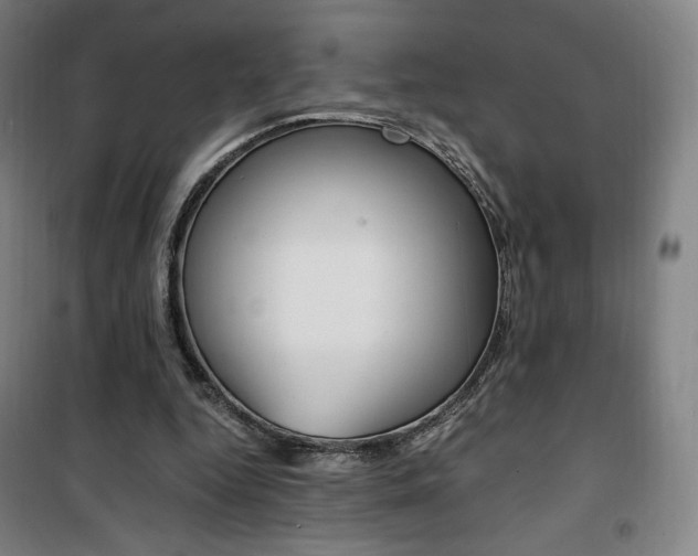 X0000101710344200807101413