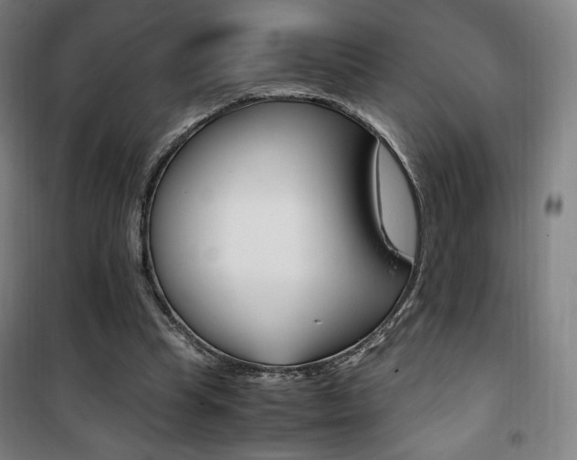 X0000101710345200807101413