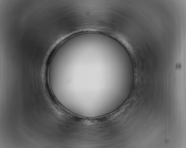 X0000101710346200807101413