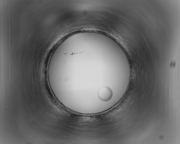 X0000101710347200807101413