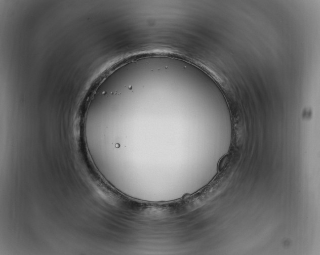 X0000101710350200807101413