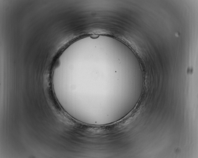X0000101710351200807101413