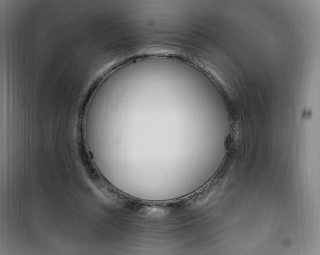X0000101710352200807101413