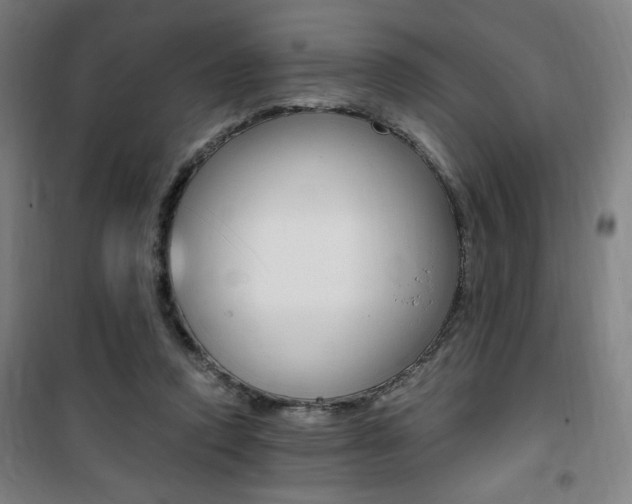 X0000101710354200807101413