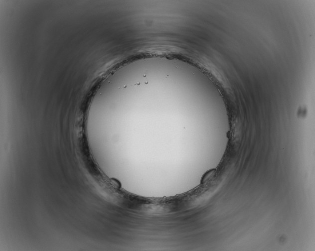 X0000101710356200807101413