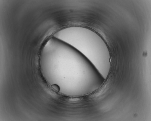 X0000101710357200807101414