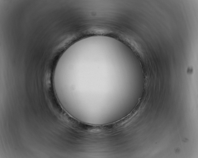 X0000101710358200807101414