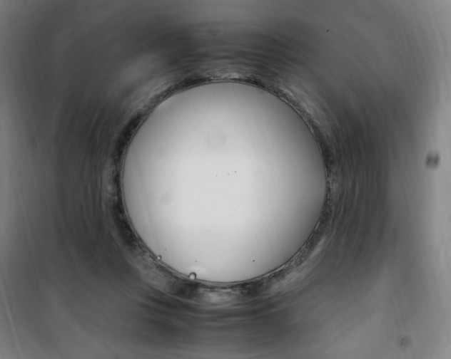 X0000101710359200807101414