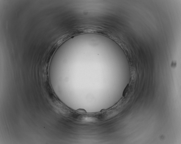 X0000101710360200807101414