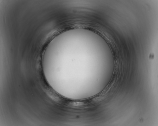 X0000101710361200807101414