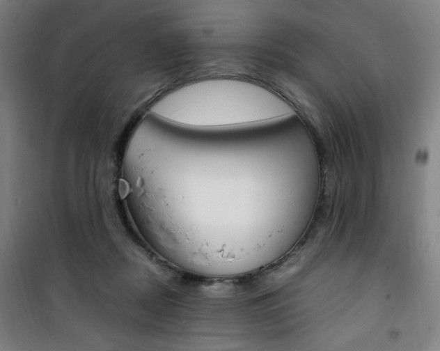 X0000101710362200807101414
