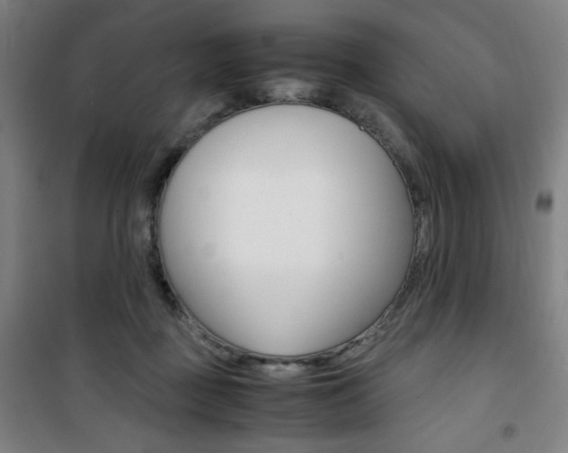 X0000101710363200807101414