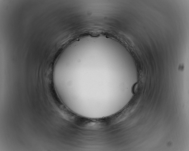 X0000101710364200807101414