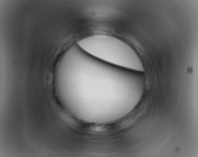 X0000101710365200807101414