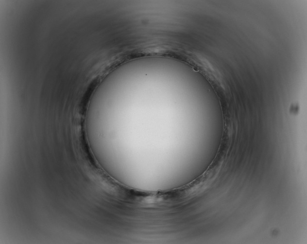 X0000101710366200807101414
