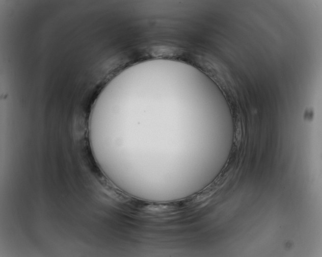 X0000101710367200807101414