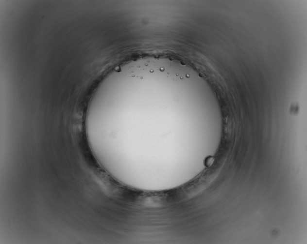 X0000101710368200807101414