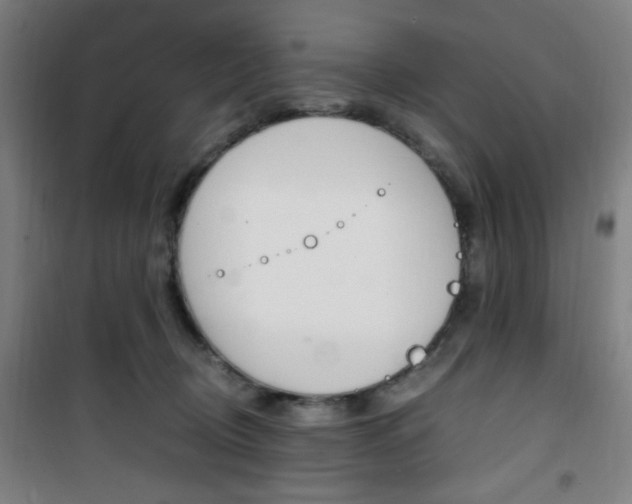 X0000101710370200807101414