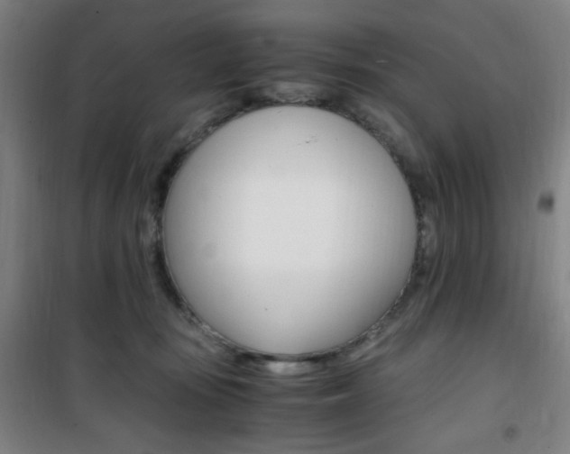 X0000101710371200807101414