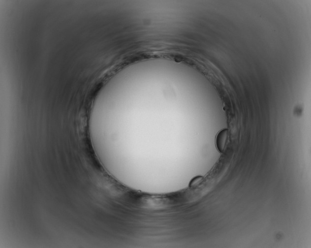 X0000101710372200807101414