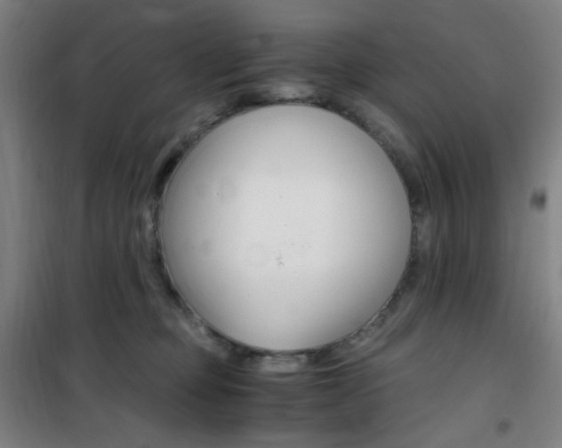 X0000101710373200807101414