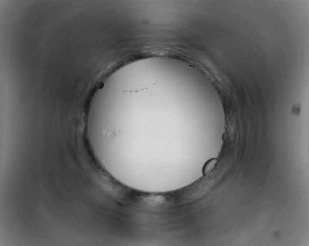 X0000101710374200807101414